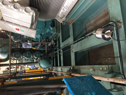 嘉兴乐高玩具工厂冷冻机房群控系统与计算机房维护服务解析